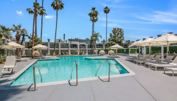 An outdoor swimming pool surrounded by lounge chairs and umbrellas with palm trees and buildings in the background under a clear blue sky.