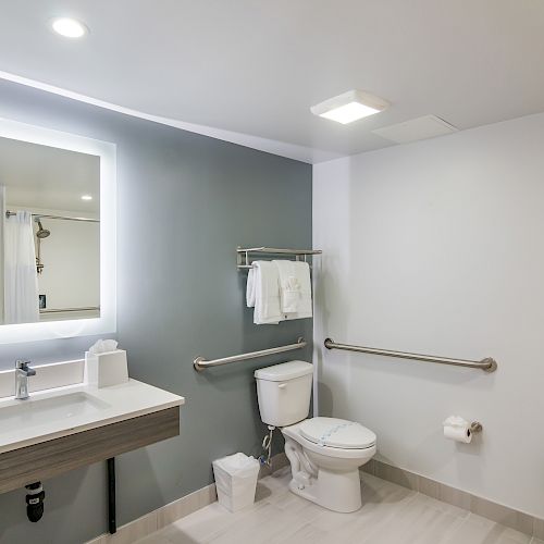 This image shows a modern, accessible bathroom with a toilet, sink, grab bars, vanity mirror, and shower seat on the right.