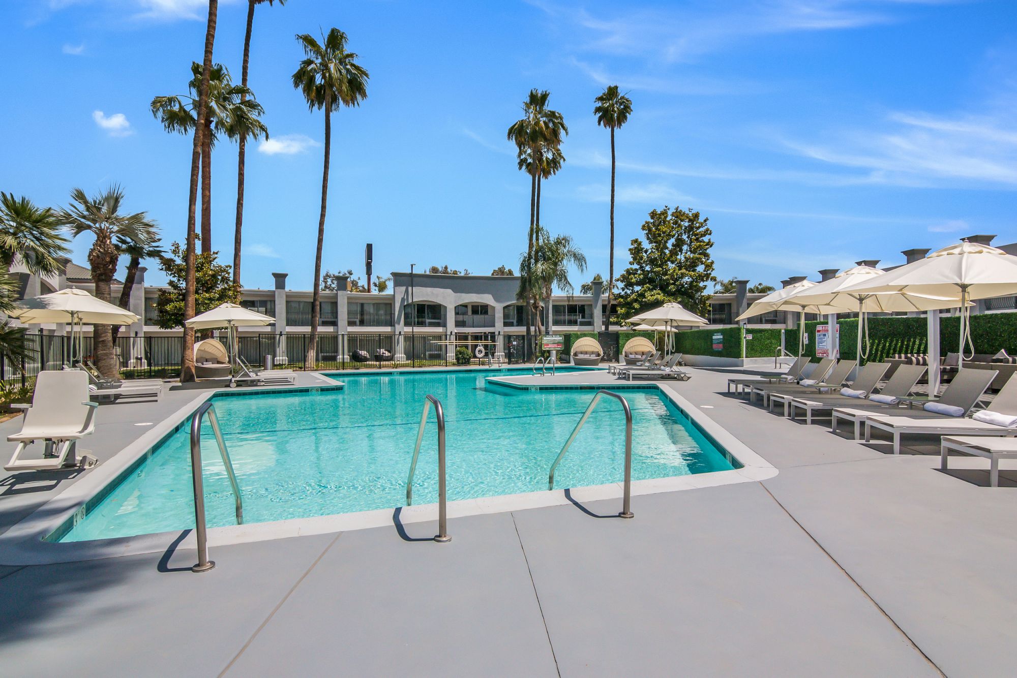 A serene outdoor pool area lined with lounge chairs and umbrellas, surrounded by palm trees and a building in the background.