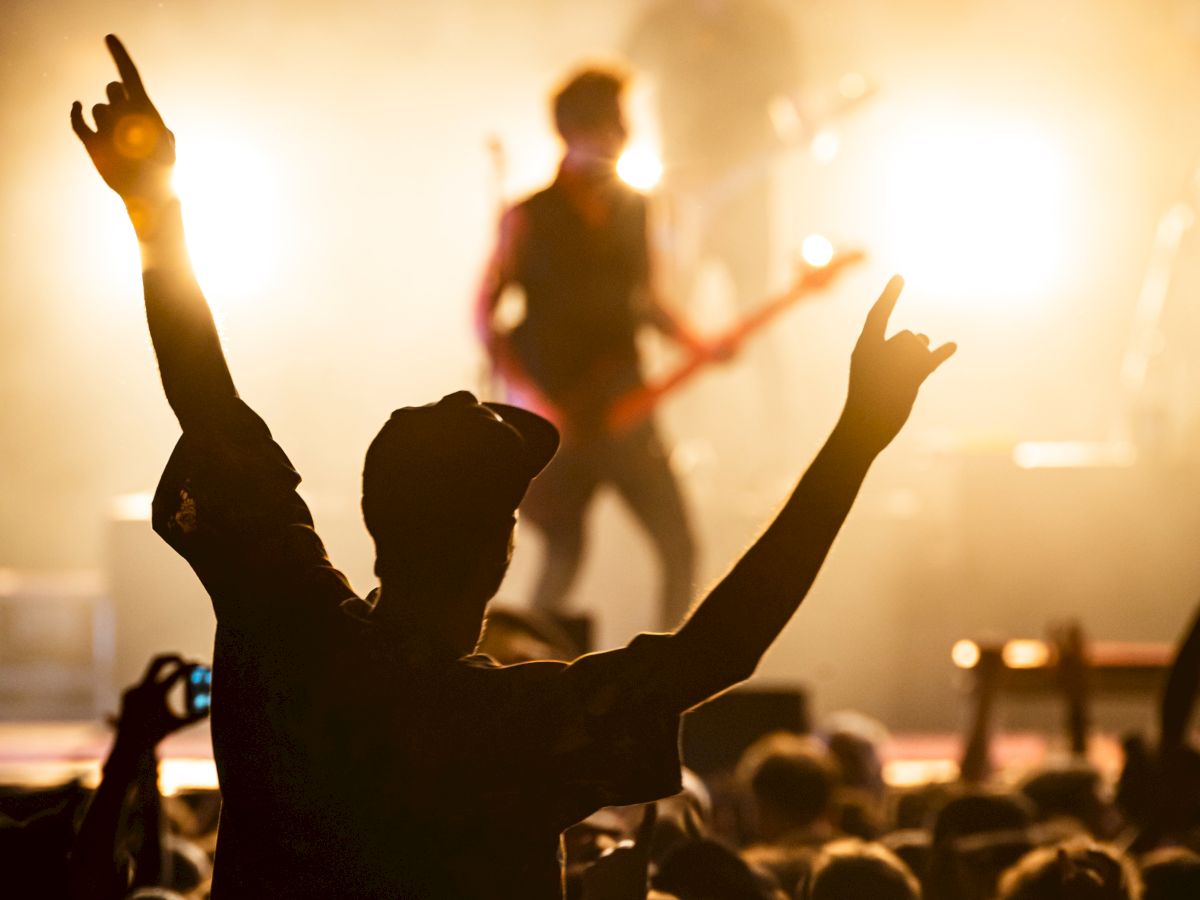 The image shows a lively concert scene, with a crowd enjoying the music, one person with raised arms, and musicians performing on stage with bright lights.