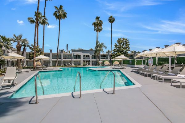 An outdoor swimming pool is surrounded by lounge chairs, umbrellas, and palm trees on a sunny day, with a building and clear blue sky in the background.